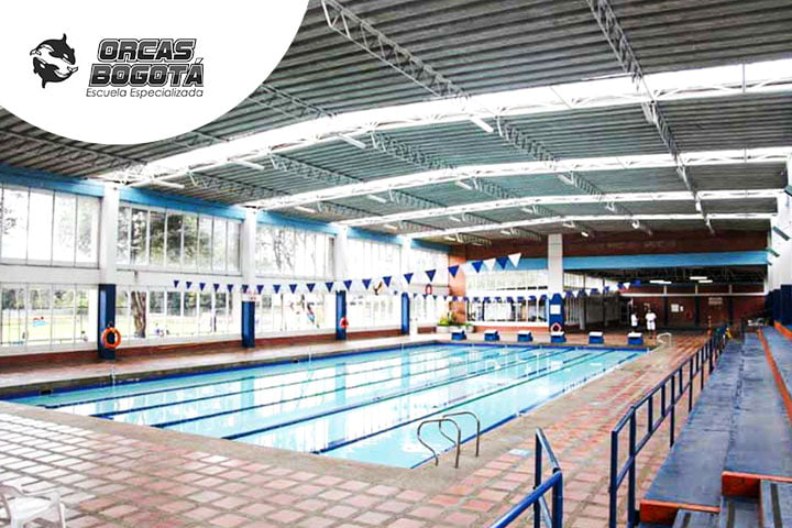 Orcas Bogotá Sede Servita